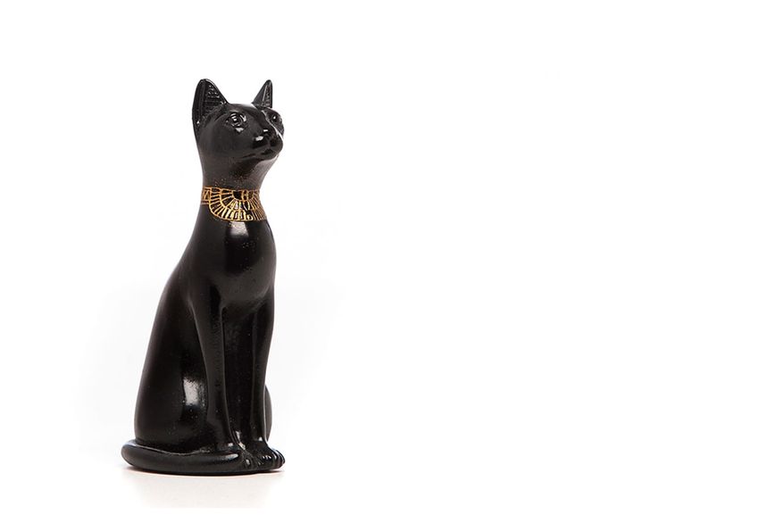 A selection of product photography created for the online shop & social media channels. Egyptian Cat.